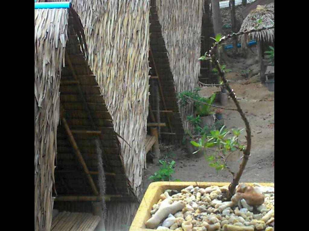 Lipe Camping Zone Bagian luar foto