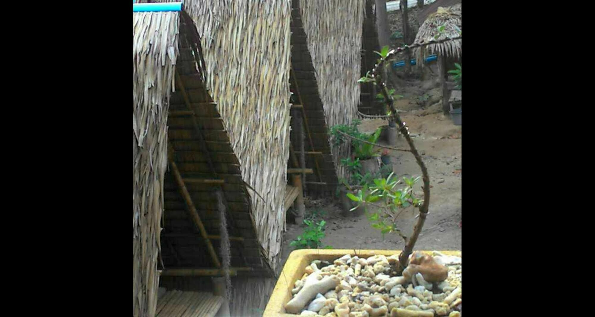 Lipe Camping Zone Bagian luar foto